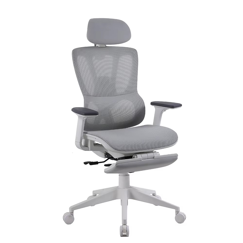 Ergonomic Chair